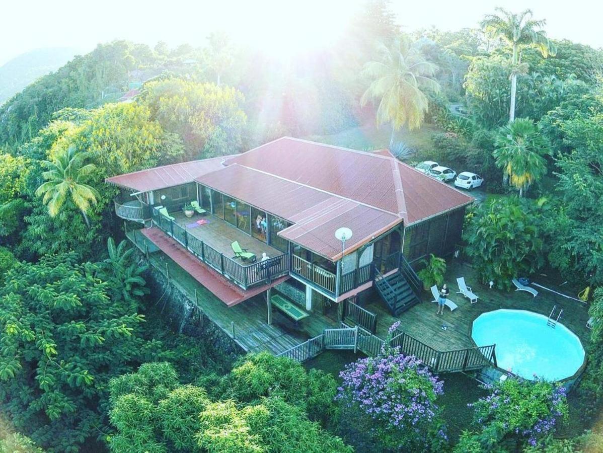 Villa Du Jardin Botanique, Ex. Propriete Coluche デエエ エクステリア 写真