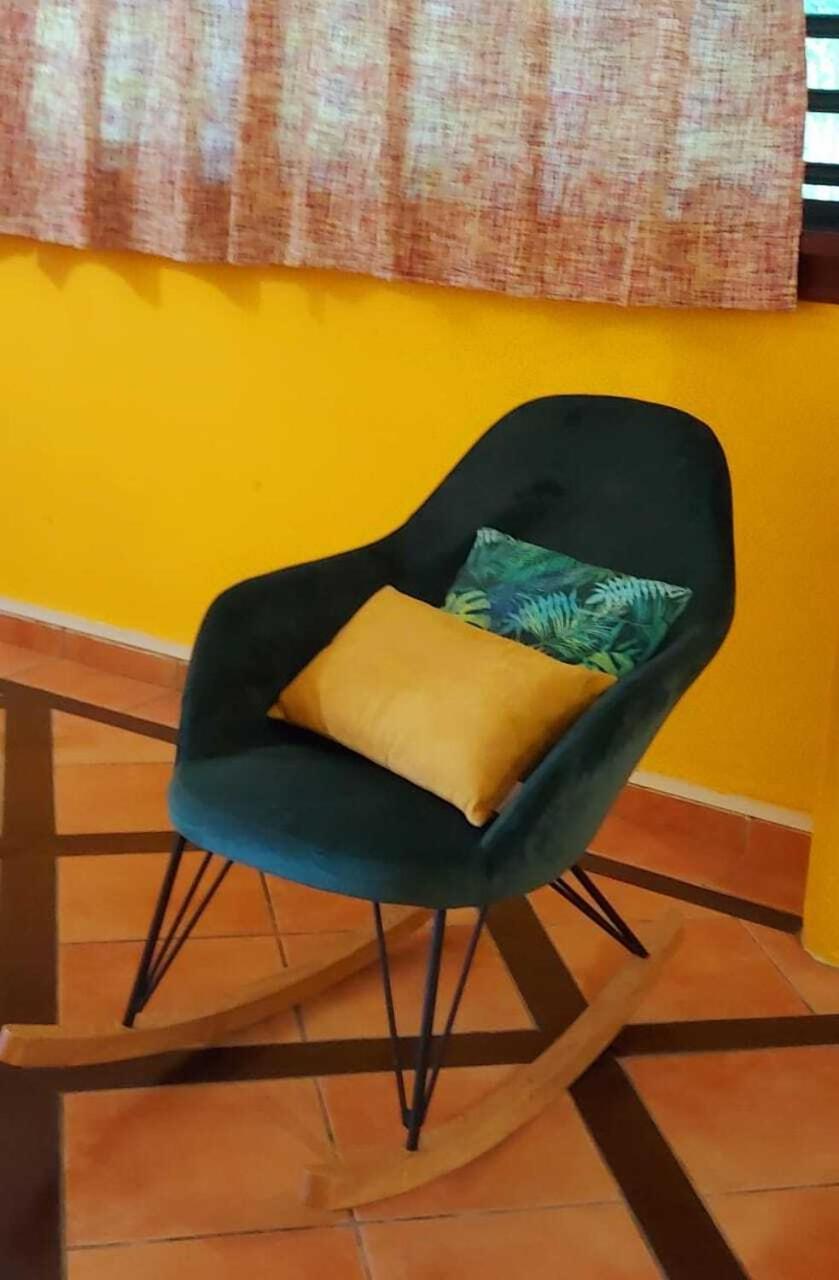 Villa Du Jardin Botanique, Ex. Propriete Coluche デエエ エクステリア 写真